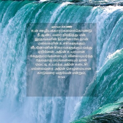 Picture 04 - ஏசாயா 37:24 TAMIRV - உன் - Bible Verse Picture