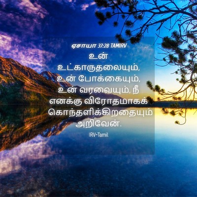 Picture 04 - ஏசாயா 37:28 TAMIRV - உன் - Bible Verse Picture