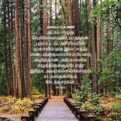 Picture 04 - ஏசாயா 37:36 TAMIRV - அப்பொழுது - Bible Verse Picture