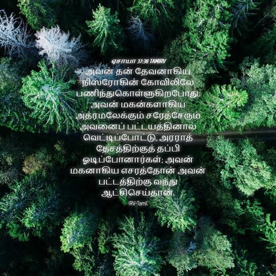 Picture 04 - ஏசாயா 37:38 TAMIRV - அவன் தன் தேவனாகிய - Bible Verse Picture