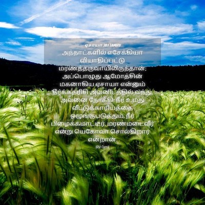 Picture 04 - ஏசாயா 38:1 TAMIRV - அந்நாட்களில் - Bible Verse Picture