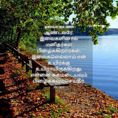 Picture 04 - ஏசாயா 38:16 TAMIRV - ஆண்டவரே, - Bible Verse Picture
