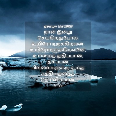 Picture 04 - ஏசாயா 38:19 TAMIRV - நான் இன்று - Bible Verse Picture