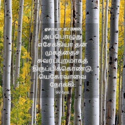 Picture 04 - ஏசாயா 38:2 TAMIRV - அப்பொழுது - Bible Verse Picture