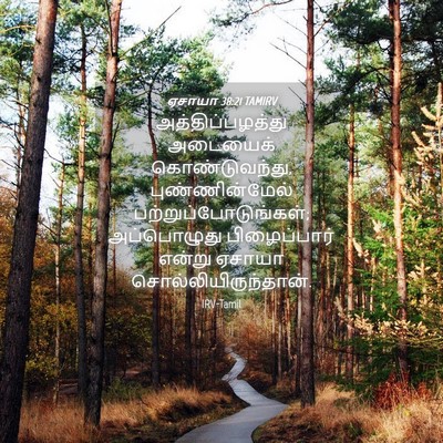 Picture 04 - ஏசாயா 38:21 TAMIRV - அத்திப்பழத்து - Bible Verse Picture