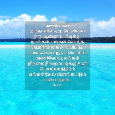 Picture 04 - ஏசாயா 4:1 TAMIRV - அந்நாளில் ஏழு - Bible Verse Picture