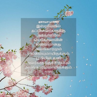 Picture 04 - ஏசாயா 4:2 TAMIRV - இஸ்ரவேலில் - Bible Verse Picture