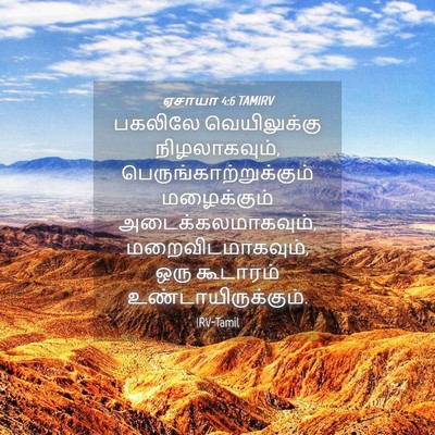 Picture 04 - ஏசாயா 4:6 TAMIRV - பகலிலே வெயிலுக்கு - Bible Verse Picture