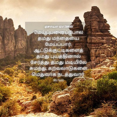 Picture 04 - ஏசாயா 40:11 TAMIRV - மேய்ப்பனைப்போல - Bible Verse Picture