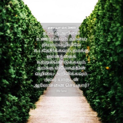 Picture 04 - ஏசாயா 40:14 TAMIRV - தமக்கு அறிவை - Bible Verse Picture