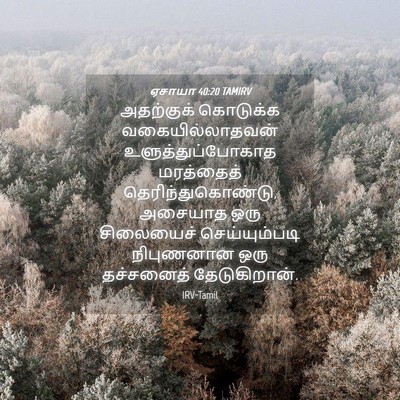 Picture 04 - ஏசாயா 40:20 TAMIRV - அதற்குக் கொடுக்க - Bible Verse Picture
