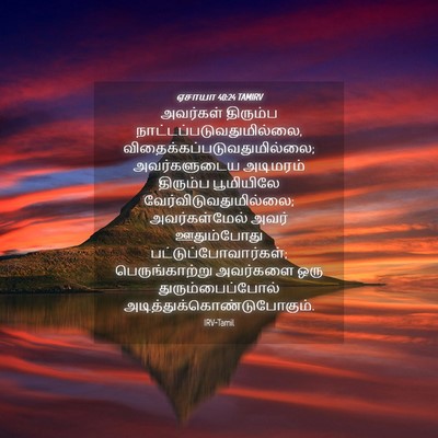 Picture 04 - ஏசாயா 40:24 TAMIRV - அவர்கள் திரும்ப - Bible Verse Picture