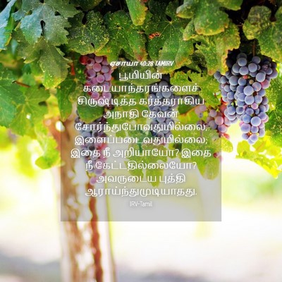 Picture 04 - ஏசாயா 40:28 TAMIRV - பூமியின் - Bible Verse Picture