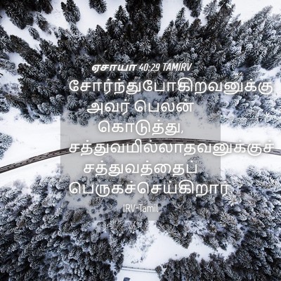 Picture 04 - ஏசாயா 40:29 TAMIRV -  - Bible Verse Picture