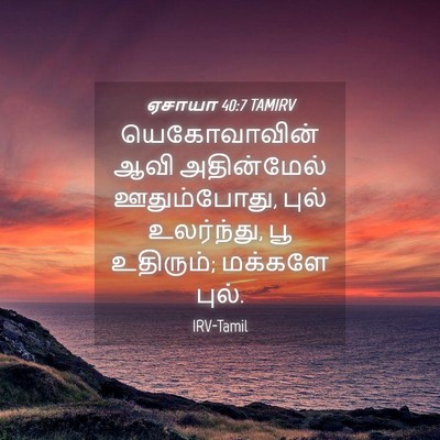 Picture 04 - ஏசாயா 40:7 TAMIRV - யெகோவாவின் ஆவி - Bible Verse Picture