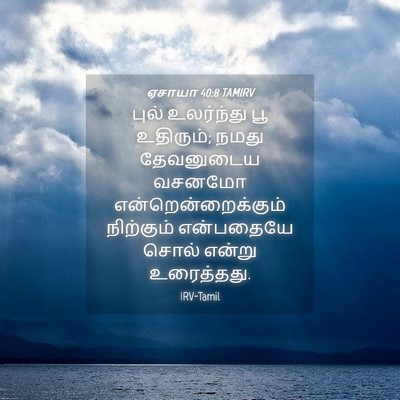 Picture 04 - ஏசாயா 40:8 TAMIRV - புல் உலர்ந்து பூ - Bible Verse Picture