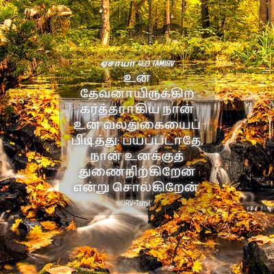 Picture 04 - ஏசாயா 41:13 TAMIRV - உன் - Bible Verse Picture
