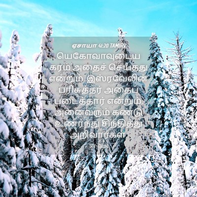 Picture 04 - ஏசாயா 41:20 TAMIRV - யெகோவாவுடைய கரம் - Bible Verse Picture