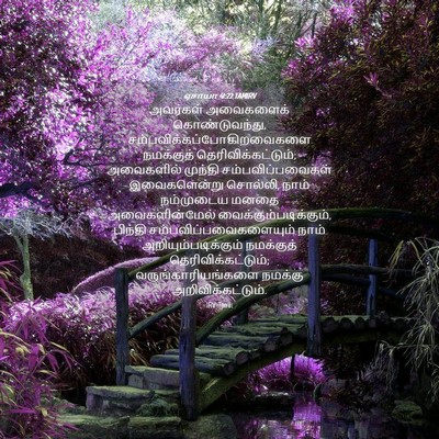 Picture 04 - ஏசாயா 41:22 TAMIRV - அவர்கள் அவைகளைக் - Bible Verse Picture