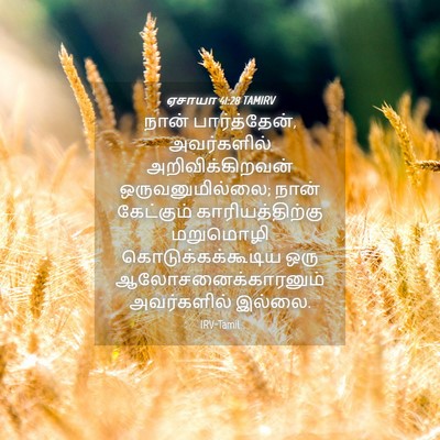 Picture 04 - ஏசாயா 41:28 TAMIRV - நான் பார்த்தேன், - Bible Verse Picture