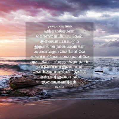 Picture 04 - ஏசாயா 42:22 TAMIRV - இந்த மக்களோ - Bible Verse Picture