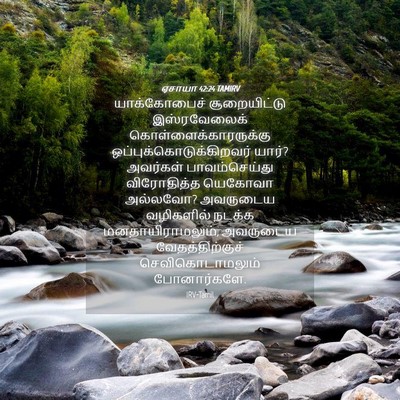 Picture 04 - ஏசாயா 42:24 TAMIRV - யாக்கோபைச் - Bible Verse Picture