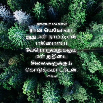 Picture 04 - ஏசாயா 42:8 TAMIRV - நான் யெகோவா, இது - Bible Verse Picture