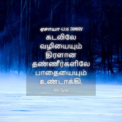 Picture 04 - ஏசாயா 43:16 TAMIRV - கடலிலே வழியையும் - Bible Verse Picture
