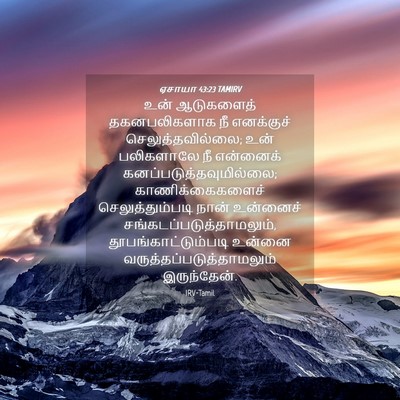 Picture 04 - ஏசாயா 43:23 TAMIRV - உன் ஆடுகளைத் - Bible Verse Picture