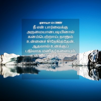 Picture 04 - ஏசாயா 43:4 TAMIRV - நீ என் பார்வைக்கு - Bible Verse Picture