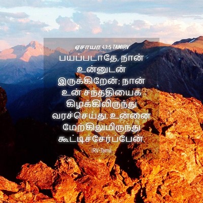 Picture 04 - ஏசாயா 43:5 TAMIRV - பயப்படாதே, நான் - Bible Verse Picture