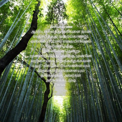 Picture 04 - ஏசாயா 44:7 TAMIRV - ஆரம்பகாலத்து - Bible Verse Picture