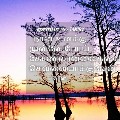 Picture 04 - ஏசாயா 45:2 TAMIRV - நான் உனக்கு - Bible Verse Picture