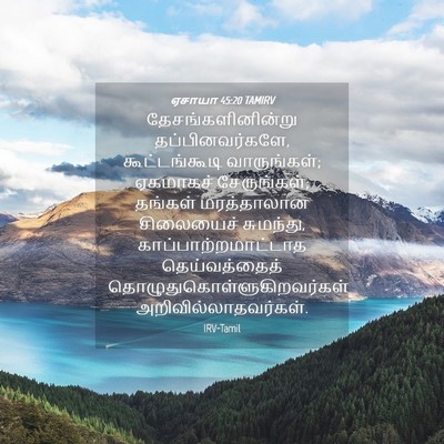 Picture 04 - ஏசாயா 45:20 TAMIRV - தேசங்களினின்று - Bible Verse Picture