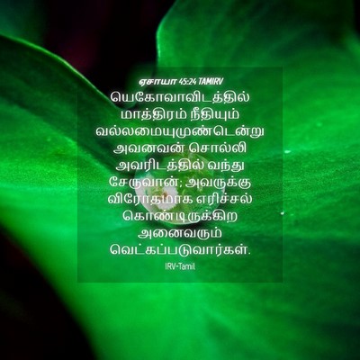 Picture 04 - ஏசாயா 45:24 TAMIRV - யெகோவாவிடத்தில் - Bible Verse Picture