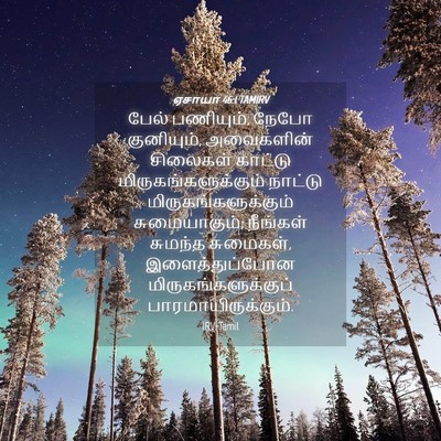 Picture 04 - ஏசாயா 46:1 TAMIRV - பேல் பணியும், நேபோ - Bible Verse Picture