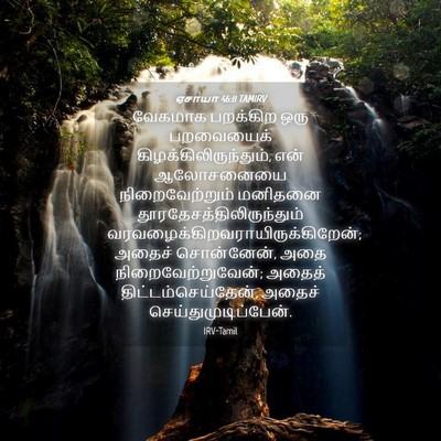Picture 04 - ஏசாயா 46:11 TAMIRV - வேகமாக பறக்கிற - Bible Verse Picture