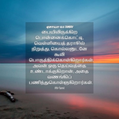 Picture 04 - ஏசாயா 46:6 TAMIRV - பையிலிருக்கிற - Bible Verse Picture