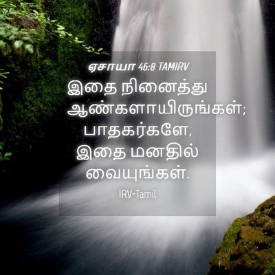 Picture 04 - ஏசாயா 46:8 TAMIRV - இதை நினைத்து - Bible Verse Picture