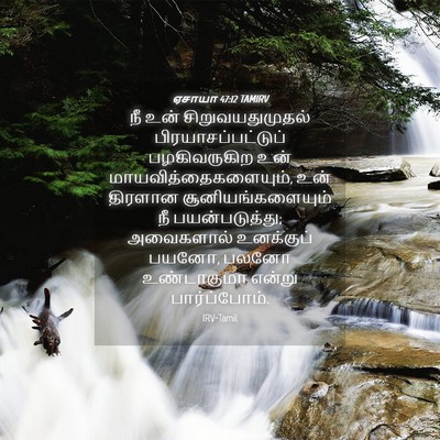 Picture 04 - ஏசாயா 47:12 TAMIRV - நீ உன் - Bible Verse Picture