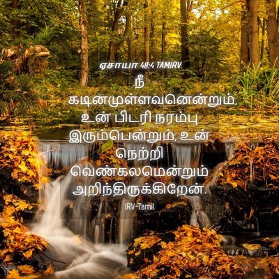 Picture 04 - ஏசாயா 48:4 TAMIRV - நீ - Bible Verse Picture