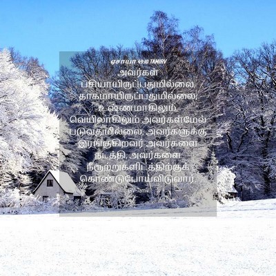 Picture 04 - ஏசாயா 49:10 TAMIRV - அவர்கள் - Bible Verse Picture