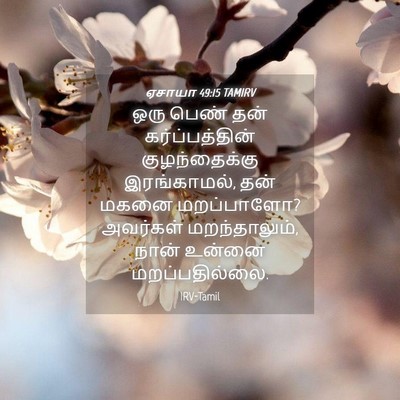 Picture 04 - ஏசாயா 49:15 TAMIRV - ஒரு பெண் தன் - Bible Verse Picture