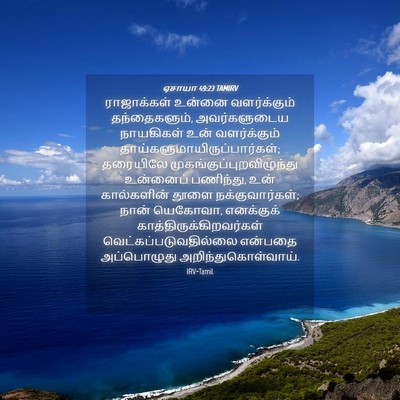 Picture 04 - ஏசாயா 49:23 TAMIRV - ராஜாக்கள் உன்னை - Bible Verse Picture