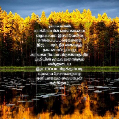 Picture 04 - ஏசாயா 49:6 TAMIRV - யாக்கோபின் - Bible Verse Picture