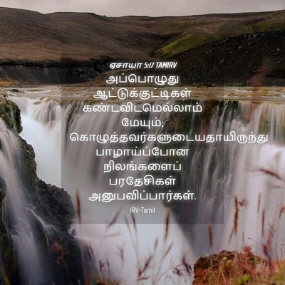 Picture 04 - ஏசாயா 5:17 TAMIRV - அப்பொழுது - Bible Verse Picture