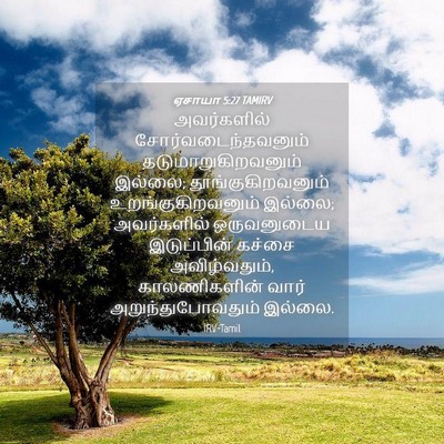 Picture 04 - ஏசாயா 5:27 TAMIRV - அவர்களில் - Bible Verse Picture