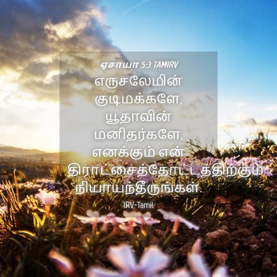 Picture 04 - ஏசாயா 5:3 TAMIRV - எருசலேமின் - Bible Verse Picture