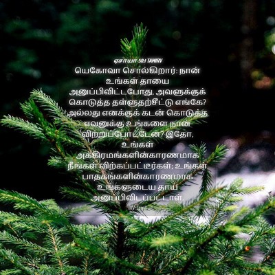 Picture 04 - ஏசாயா 50:1 TAMIRV - யெகோவா - Bible Verse Picture