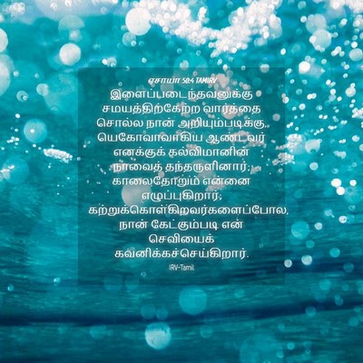 Picture 04 - ஏசாயா 50:4 TAMIRV -  - Bible Verse Picture